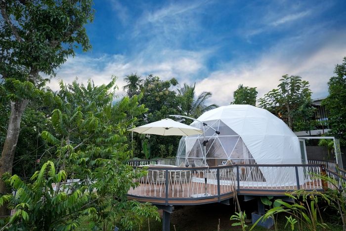 Best Domes in Wayanad