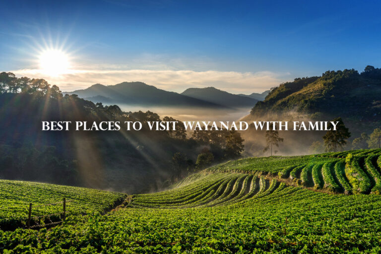 Le Villagio resort amidst lush green surroundings in Wayanad