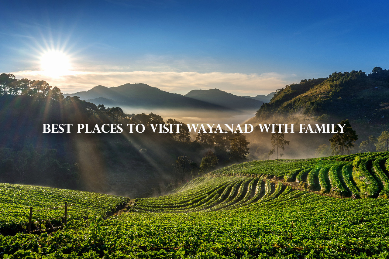 Le Villagio resort amidst lush green surroundings in Wayanad