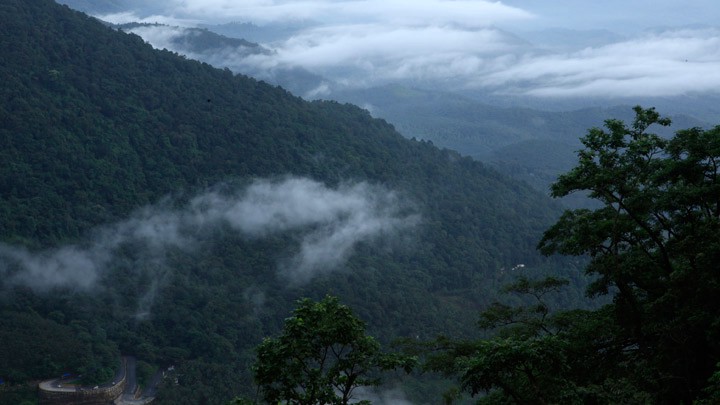 Place to visit in Wayanad