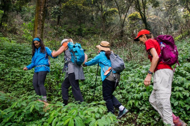 Best Places for Trekking in Kerala