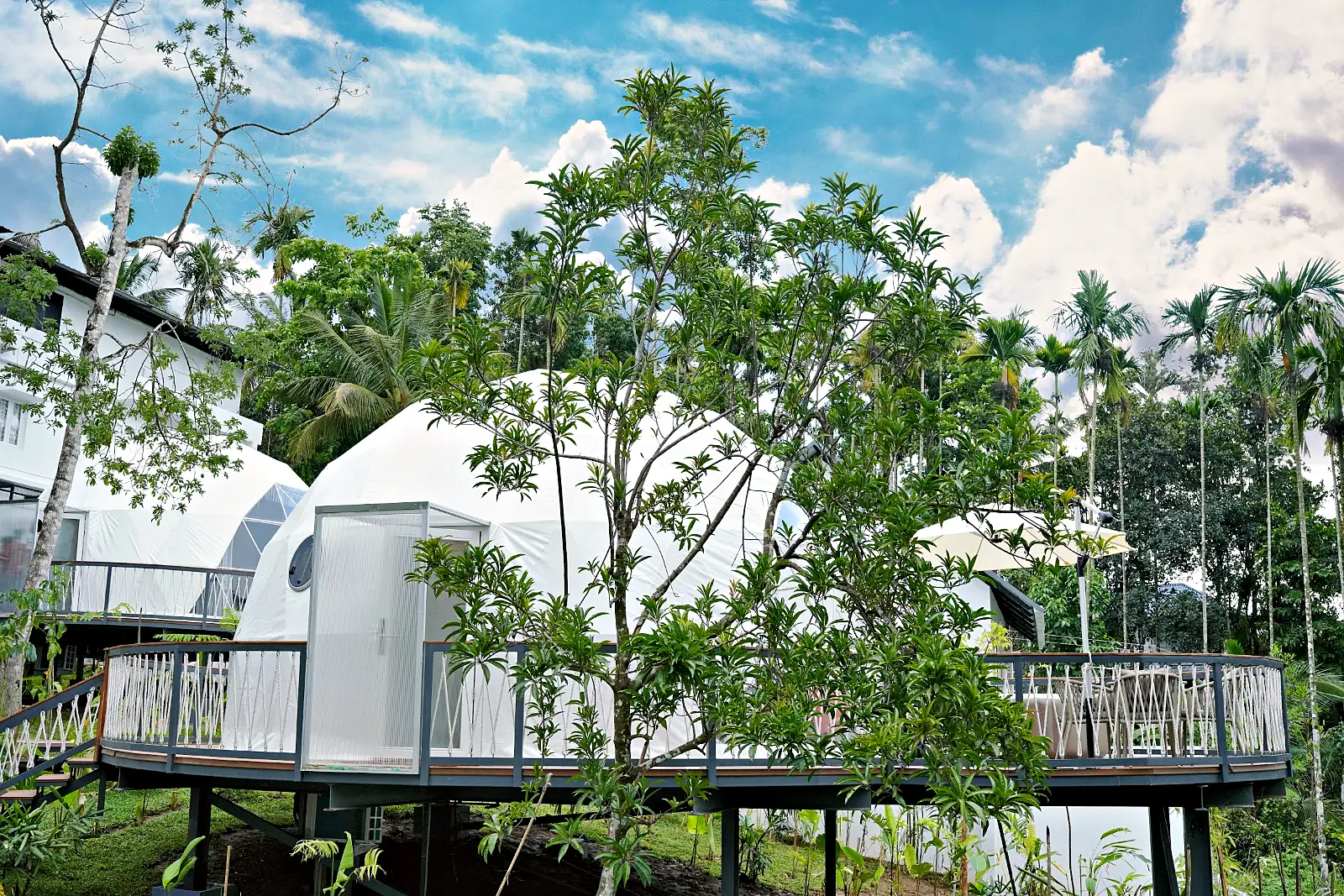 Glamping domes on raised decks among the trees, Sulthan Bathery